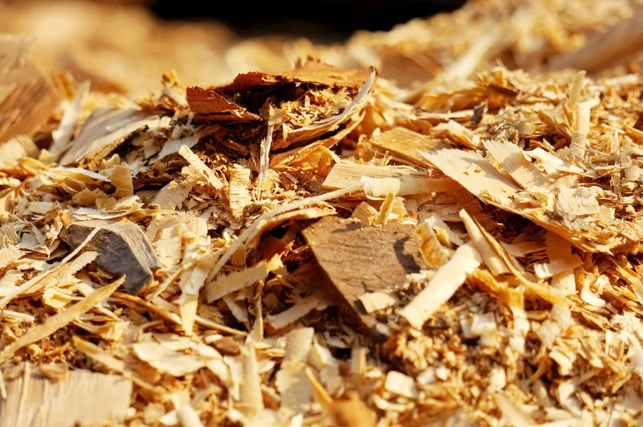 A picture of a bunch of sawdust and wood chips.