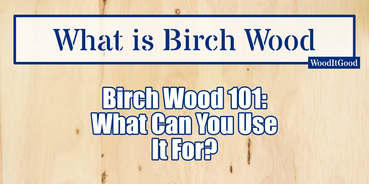 A picture describing what this post is about: what is birch wood?